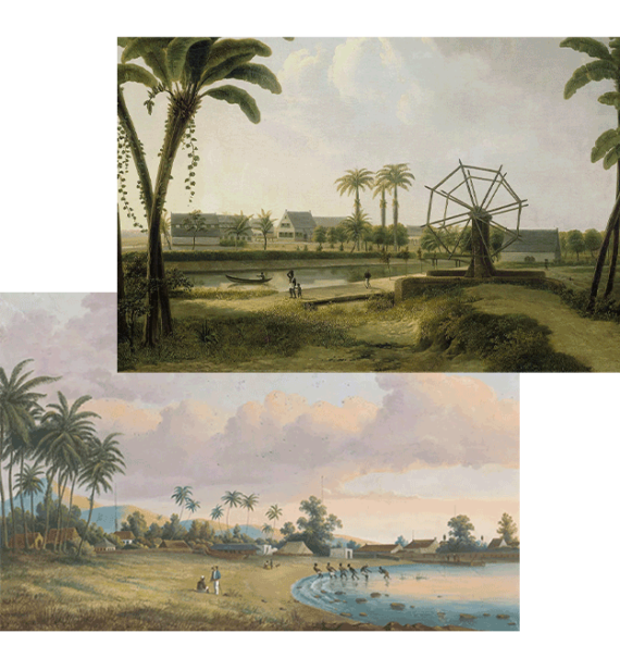 رنگ‌ های قهوه