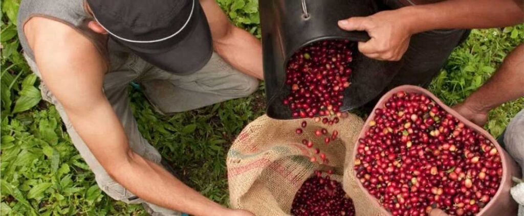 خرید قهوه کلمبیا