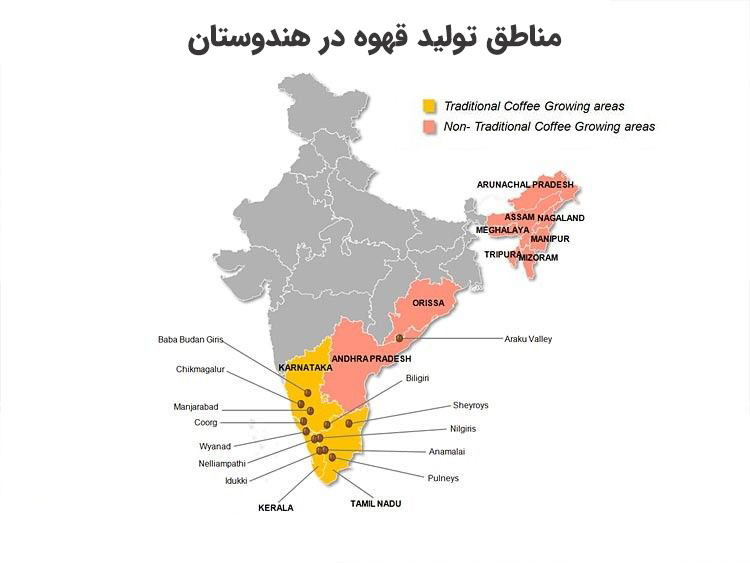 مناطق تولید قهوه هند